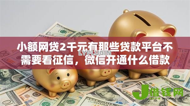 小额网贷2千元有那些贷款平台不需要看征信，微信开通什么借款好下款的7个平台介绍