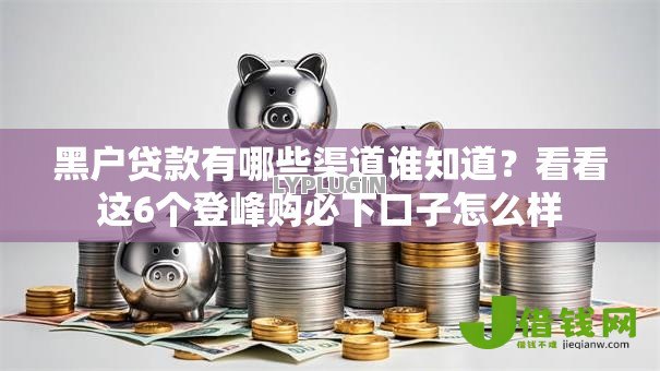 黑户贷款有哪些渠道谁知道？看看这6个登峰购必下口子怎么样