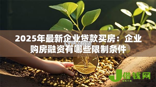 2025年最新企业贷款买房:企业购房融资有哪些限制条件 2025年最新企业贷款买房:企业购房融资有哪些限制条件