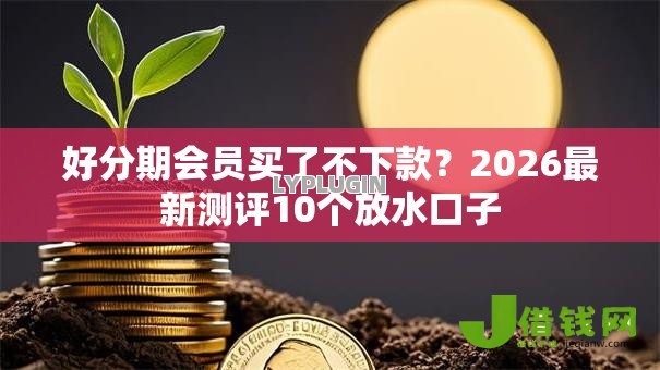好分期会员买了不下款?2026最新测评10个放水口子 好分期会员买了不下款?2026最新测评10个放水口子