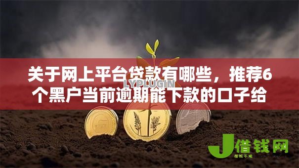 关于网上平台贷款有哪些，推荐6个黑户当前逾期能下款的口子给你