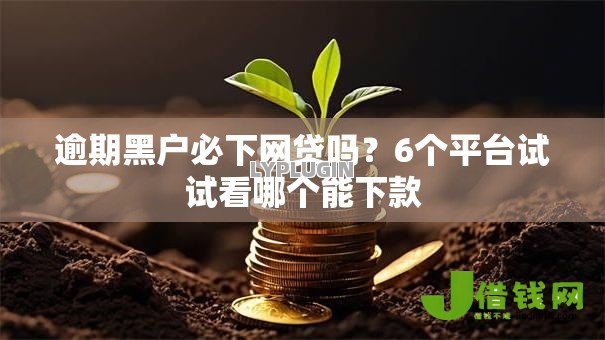 逾期黑户必下网贷吗？6个平台试试看哪个能下款