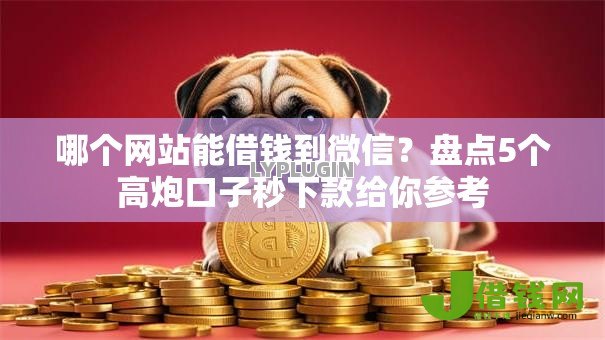 哪个网站能借钱到微信?盘点5个高炮口子秒下款给你参考 哪个网站能借钱到微信?盘点5个高炮口子秒下款给你参考