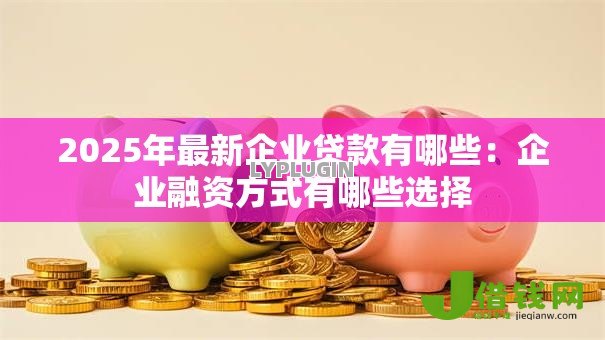 2025年最新企业贷款有哪些：企业融资方式有哪些选择