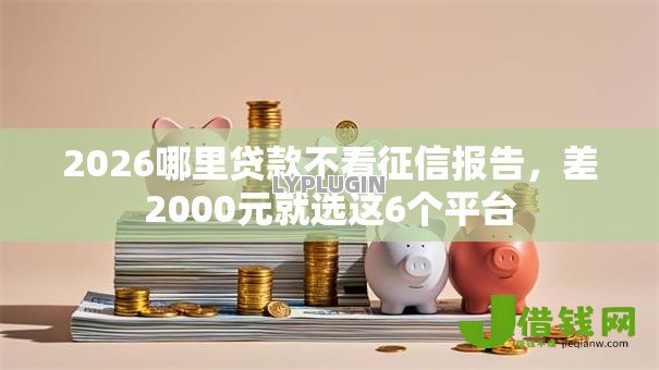 2026哪里贷款不看征信报告，差2000元就选这6个平台