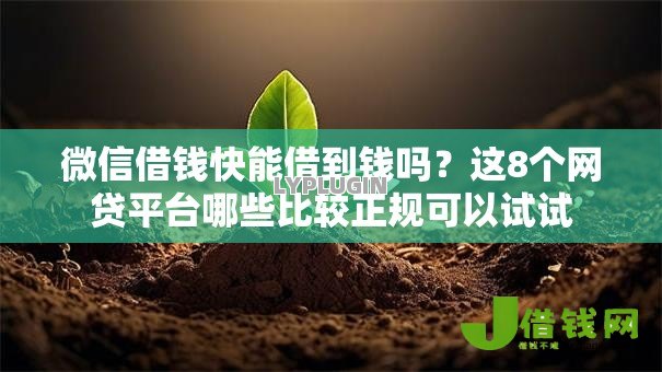 微信借钱快能借到钱吗？这8个网贷平台哪些比较正规可以试试