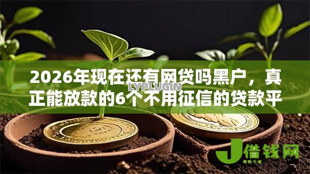2026年现在还有网贷吗黑户，真正能放款的6个不用征信的贷款平台推荐