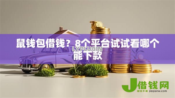 鼠钱包借钱？8个平台试试看哪个能下款
