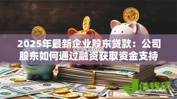 2025年最新企业股东贷款:公司股东如何通过融资获取资金支持 2025年最新企业股东贷款:公司股东如何通过融资获取资金支持