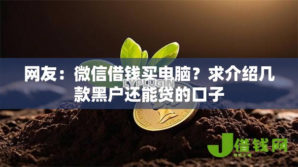 网友：微信借钱买电脑？求介绍几款黑户还能贷的口子