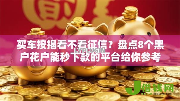 买车按揭看不看征信？盘点8个黑户花户能秒下款的平台给你参考