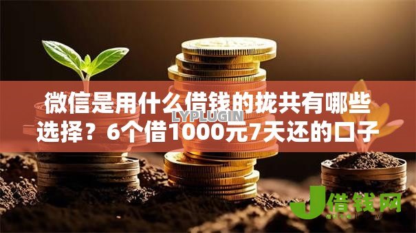 微信是用什么借钱的拢共有哪些选择？6个借1000元7天还的口子详解