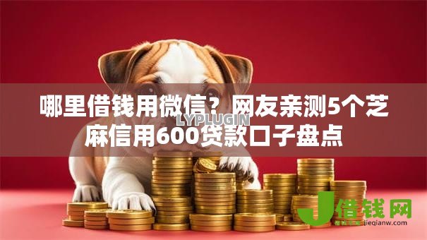 哪里借钱用微信?网友亲测5个芝麻信用600贷款口子盘点 哪里借钱用微信?网友亲测5个芝麻信用600贷款口子盘点