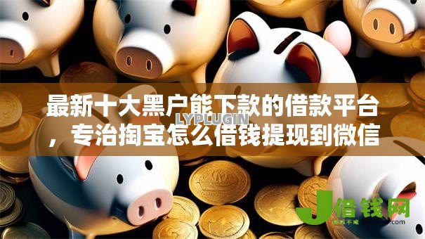 最新十大黑户能下款的借款平台,专治掏宝怎么借钱提现到微信 最新十大黑户能下款的借款平台,专治掏宝怎么借钱提现到微信