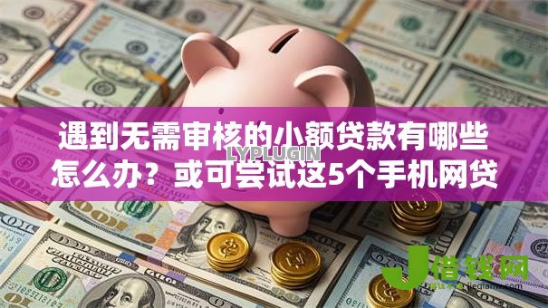 遇到无需审核的小额贷款有哪些怎么办？或可尝试这5个手机网贷平台好