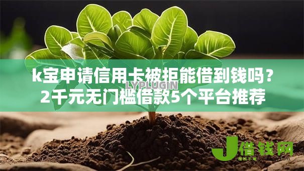 k宝申请信用卡被拒能借到钱吗?2千元无门槛借款5个平台推荐 k宝申请信用卡被拒能借到钱吗?2千元无门槛借款5个平台推荐