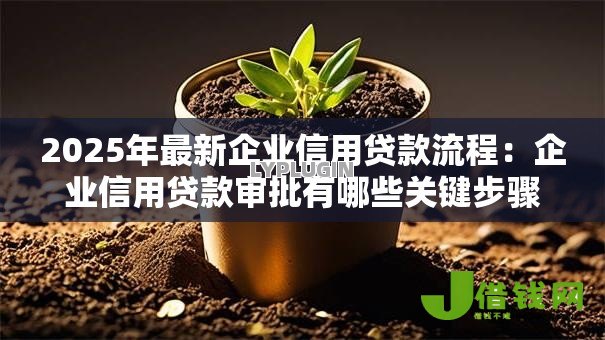 2025年最新企业信用贷款流程:企业信用贷款审批有哪些关键步骤 2025年最新企业信用贷款流程:企业信用贷款审批有哪些关键步骤