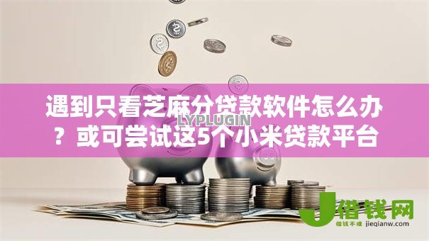 遇到只看芝麻分贷款软件怎么办？或可尝试这5个小米贷款平台