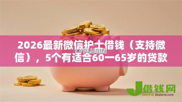2026最新微信护士借钱（支持微信），5个有适合60一65岁的贷款平台无私分享