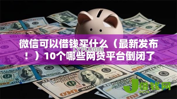 微信可以借钱买什么（最新发布！）10个哪些网贷平台倒闭了