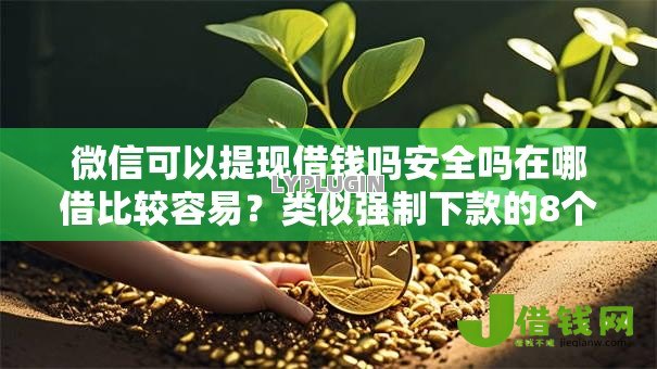 微信可以提现借钱吗安全吗在哪借比较容易？类似强制下款的8个口子参考