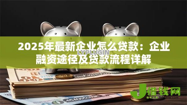2025年最新企业怎么贷款:企业融资途径及贷款流程详解 2025年最新企业怎么贷款:企业融资途径及贷款流程详解