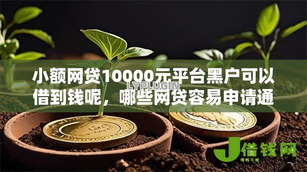 小额网贷10000元平台黑户可以借到钱呢，哪些网贷容易申请通过的8个平台介绍