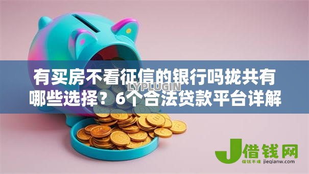 有买房不看征信的银行吗拢共有哪些选择?6个合法贷款平台详解 有买房不看征信的银行吗拢共有哪些选择?6个合法贷款平台详解