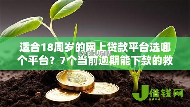 适合18周岁的网上贷款平台选哪个平台？7个当前逾期能下款的救命平台推荐