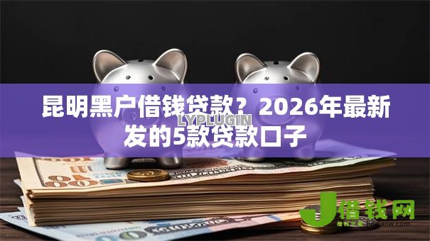 昆明黑户借钱贷款?2026年最新发的5款贷款口子 昆明黑户借钱贷款?2026年最新发的5款贷款口子