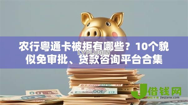 农行粤通卡被拒有哪些?10个貌似免审批、贷款咨询平台合集 农行粤通卡被拒有哪些?10个貌似免审批、贷款咨询平台合集