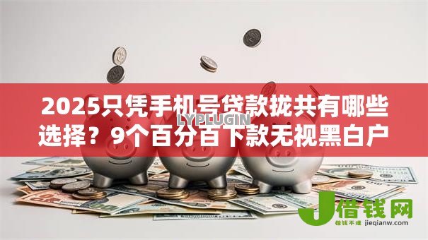 2025只凭手机号贷款拢共有哪些选择?9个百分百下款无视黑白户网贷软件详解 2025只凭手机号贷款拢共有哪些选择?9个百分百下款无视黑白户网贷软件详解