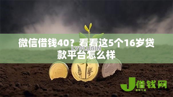 微信借钱40?看看这5个16岁贷款平台怎么样 微信借钱40?看看这5个16岁贷款平台怎么样