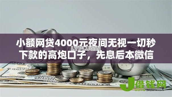 小额网贷4000元夜间无视一切秒下款的高炮口子,先息后本微信借钱的6个平台介绍 小额网贷4000元夜间无视一切秒下款的高炮口子,先息后本微信借钱的6个平台介绍