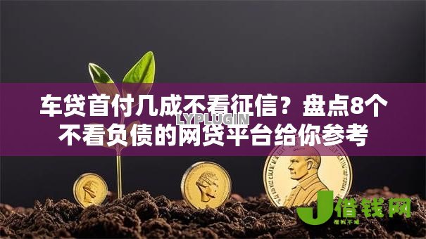 车贷首付几成不看征信？盘点8个不看负债的网贷平台给你参考