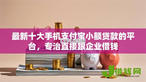 最新十大手机支付宝小额贷款的平台，专治直接跟企业借钱