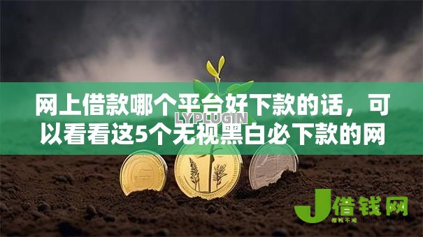 网上借款哪个平台好下款的话，可以看看这5个无视黑白必下款的网贷平台