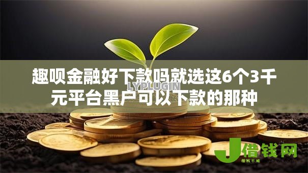 趣呗金融好下款吗就选这6个3千元平台黑户可以下款的那种