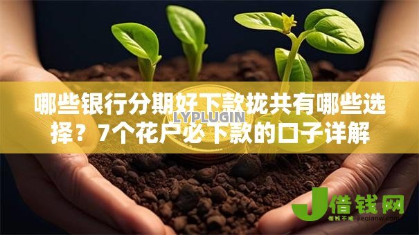 哪些银行分期好下款拢共有哪些选择?7个花户必下款的口子详解 哪些银行分期好下款拢共有哪些选择?7个花户必下款的口子详解