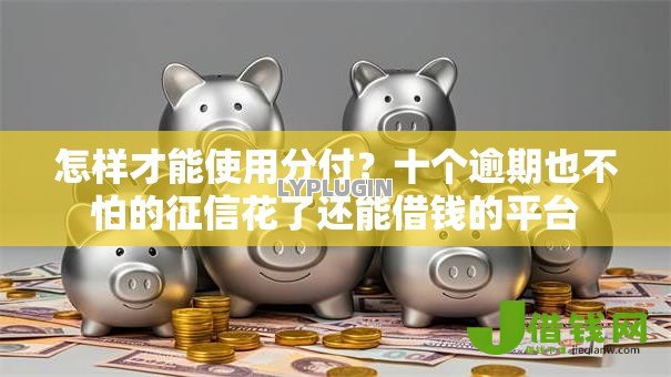 怎样才能使用分付?十个逾期也不怕的征信花了还能借钱的平台 怎样才能使用分付?十个逾期也不怕的征信花了还能借钱的平台