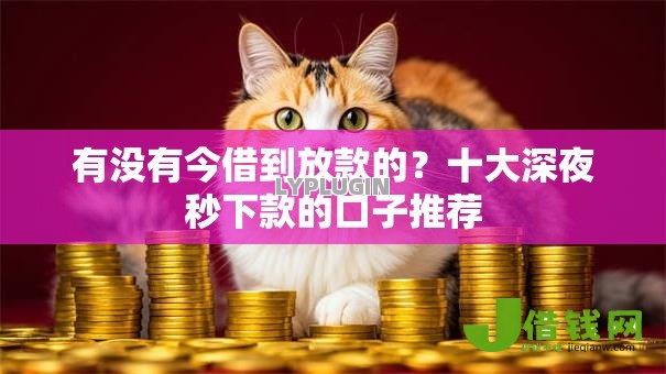 有没有今借到放款的？十大深夜秒下款的口子推荐