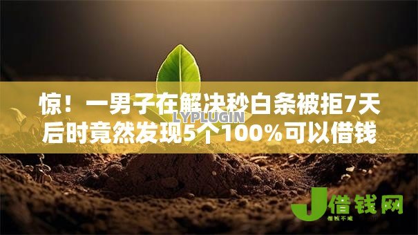 惊！一男子在解决秒白条被拒7天后时竟然发现5个100%可以借钱的平台，事后分享了出来