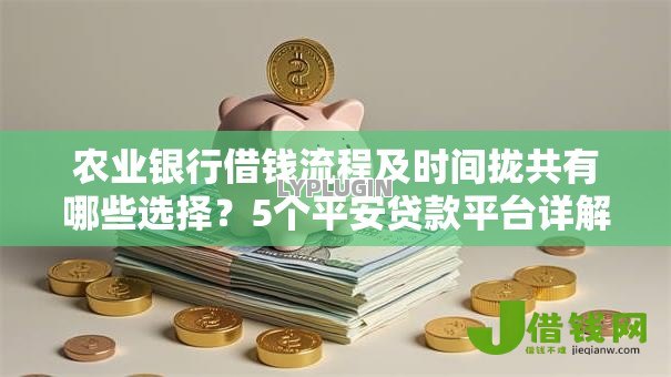 农业银行借钱流程及时间拢共有哪些选择?5个平安贷款平台详解 农业银行借钱流程及时间拢共有哪些选择?5个平安贷款平台详解