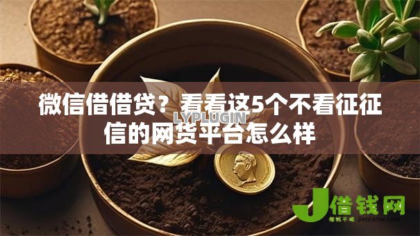 微信借借贷？看看这5个不看征征信的网货平台怎么样