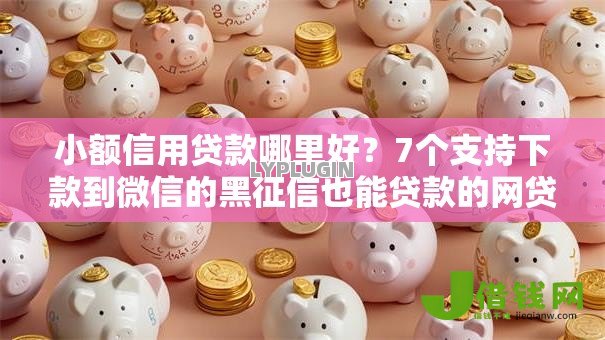 小额信用贷款哪里好？7个支持下款到微信的黑征信也能贷款的网贷软件