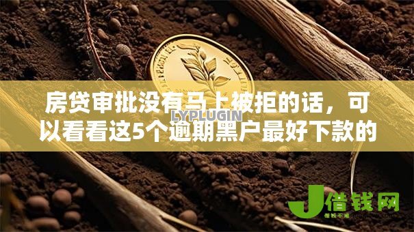 房贷审批没有马上被拒的话,可以看看这5个逾期黑户最好下款的借钱平台 房贷审批没有马上被拒的话,可以看看这5个逾期黑户最好下款的借钱平台