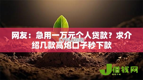网友：急用一万元个人贷款？求介绍几款高炮口子秒下款