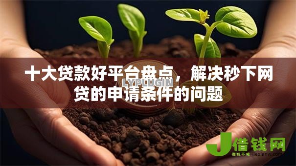 十大贷款好平台盘点，解决秒下网贷的申请条件的问题