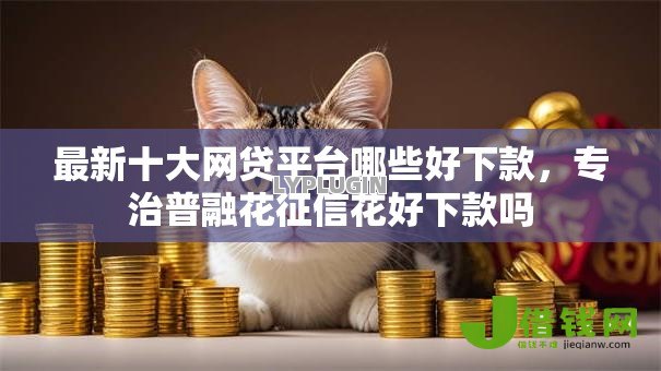 最新十大网贷平台哪些好下款，专治普融花征信花好下款吗