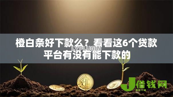 橙白条好下款么?看看这6个贷款平台有没有能下款的 橙白条好下款么?看看这6个贷款平台有没有能下款的